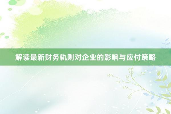 解读最新财务轨则对企业的影响与应付策略