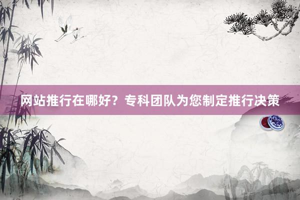 网站推行在哪好？专科团队为您制定推行决策